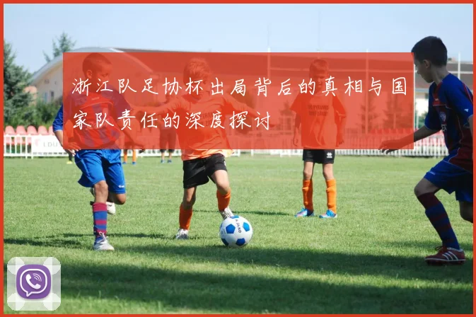 浙江队足协杯出局背后的真相与国家队责任的深度探讨