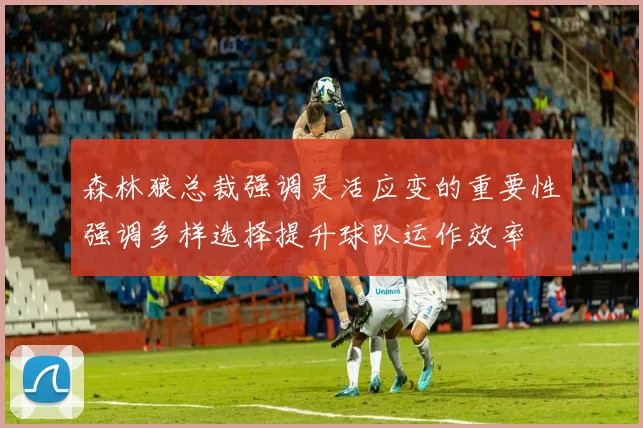 森林狼总裁强调灵活应变的重要性强调多样选择提升球队运作效率