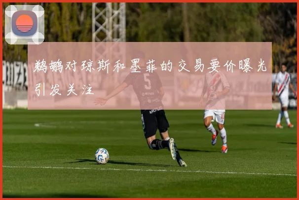 鹈鹕对琼斯和墨菲的交易要价曝光引发关注